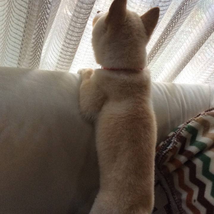 B2c2f36d a020 45e1 8cc7 15ae1805caab