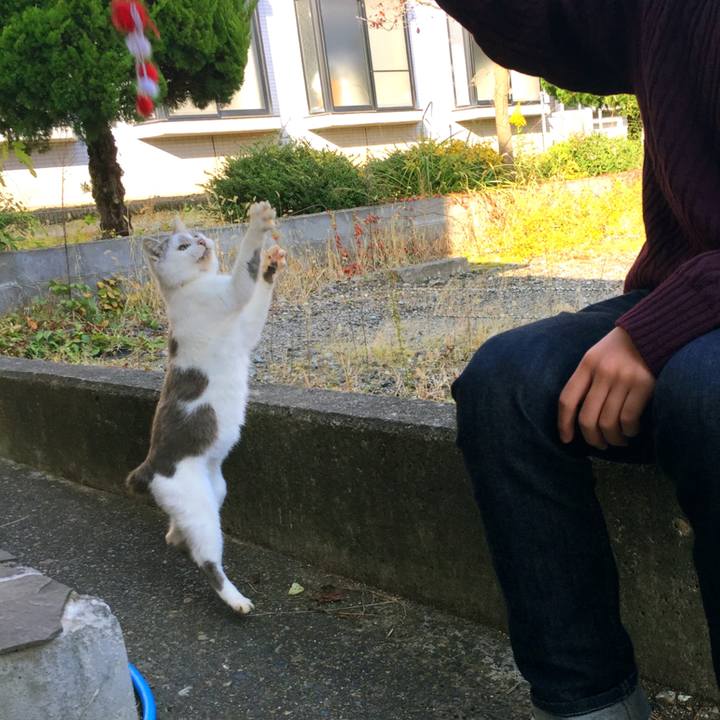 B2c32623 8dc7 4f67 ad92 bff66c139340