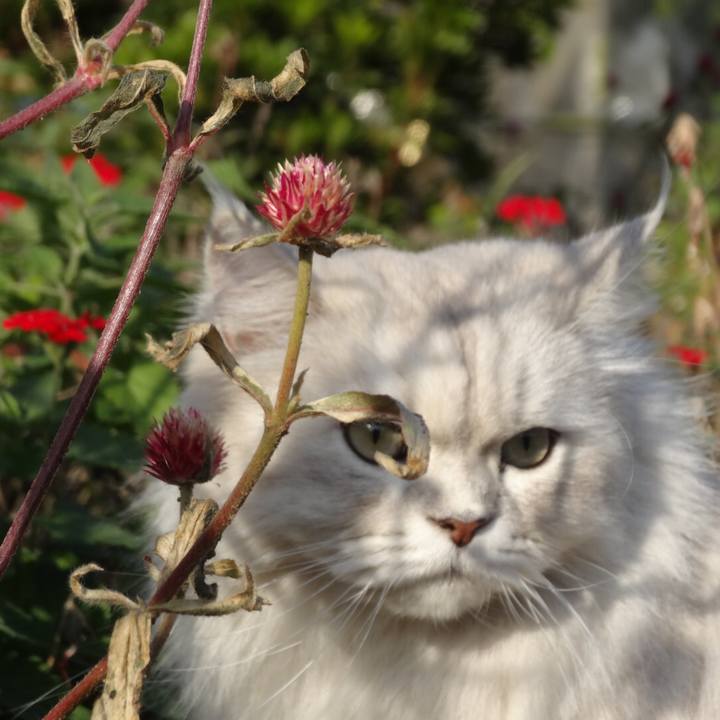 B2c33701 cc19 452f bf50 4654c0f66903