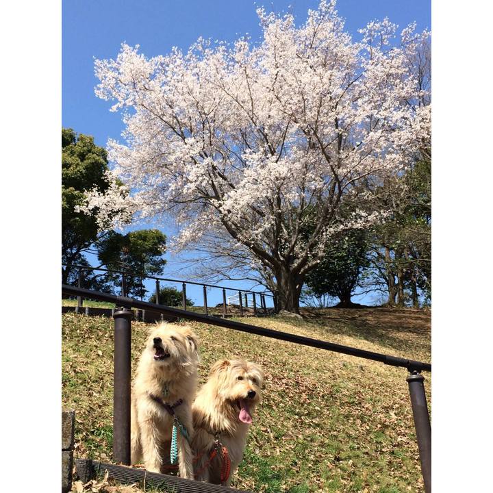 B2c3d60f 6b1f 462f b3c6 6437c20079b6