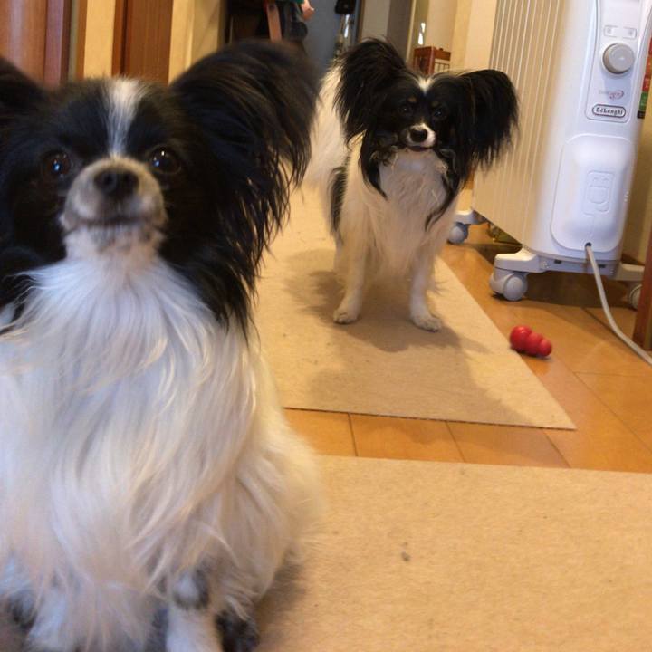 B2c44892 8b34 47af 94ec 7f008606aa2b