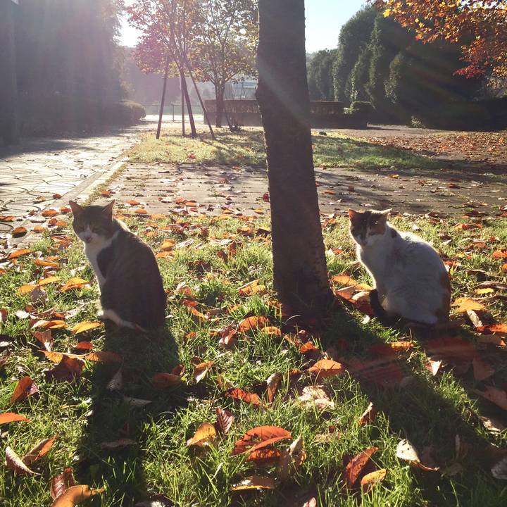 B2c46196 e4bc 4b22 b999 f886a4589dda