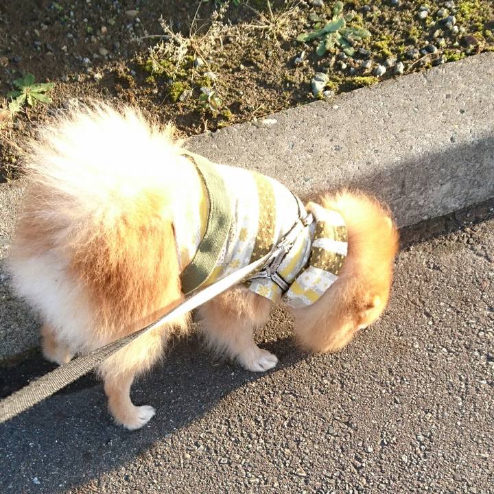 B2c466bc 5569 49ff b68d ead407824a73