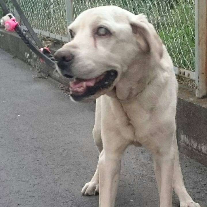 B2c4ee72 41b8 4584 8c63 6e9e965fbd58