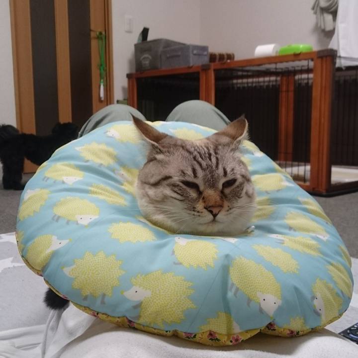 B2c50404 73bd 4ceb 9a69 1a13565c6ae1