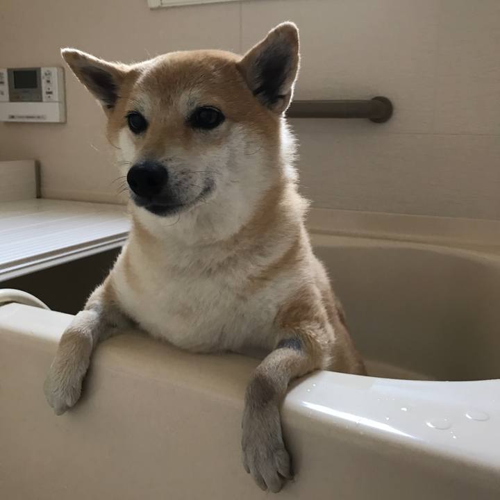 B2c50a34 cbb7 43f0 aeb9 a2363fe28c64