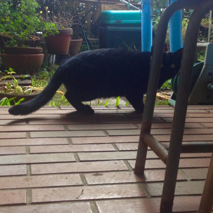 B2c5ffe0 5a52 4653 861e 4d5a2f76cd6c