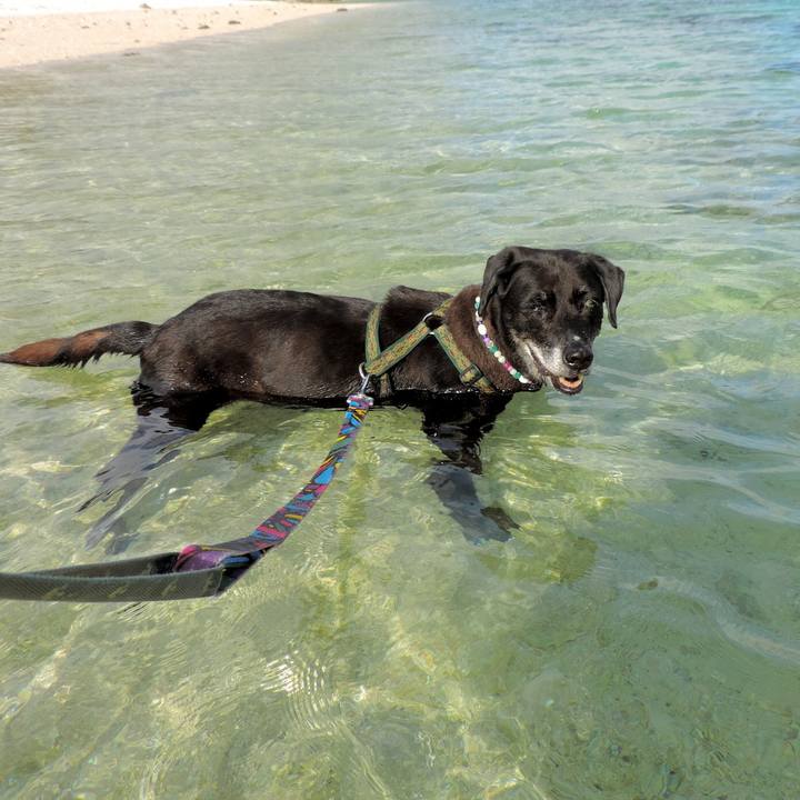 B2c7c55b e9a6 4be1 a111 1aa9250a3b6c