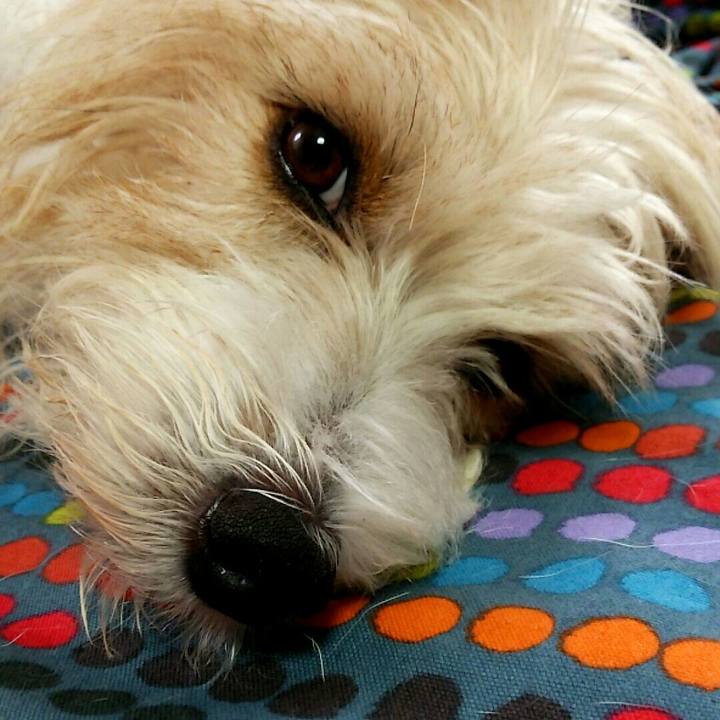 B2c827ec 940d 49f0 a5ed 64847562bc5f