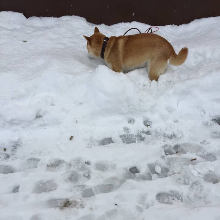 B2c84e3d 14c2 4910 bec6 3dd68908a0bb