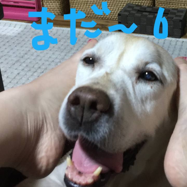 B2c85fc9 4504 4f19 aba7 0cfda3ce715e