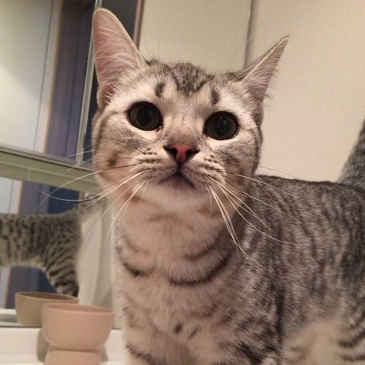 B2c95d2f 5389 4be0 a5fb 0b9ed0f95f12