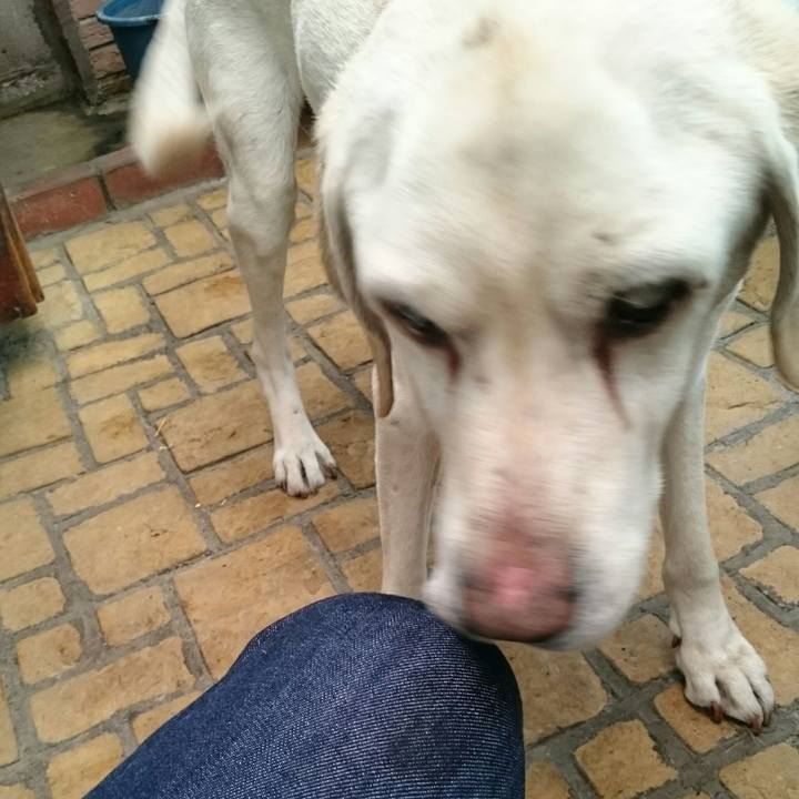 B2c96e60 f0c5 4422 9b1a 781808a29fc0