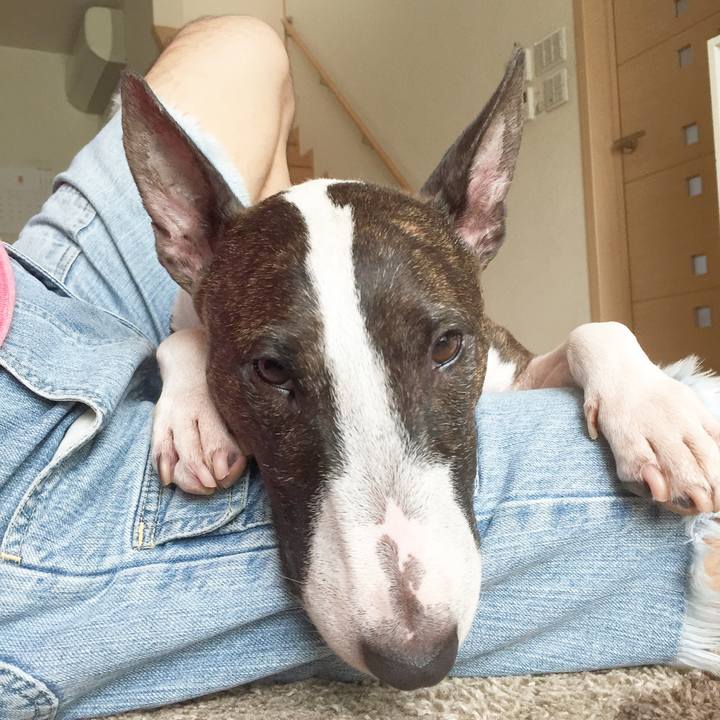 B2c9cf1a 0322 4c05 bc4a 2629032fa623