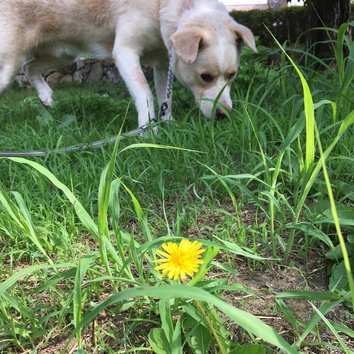 B2c9e3fa 6c16 4945 821a 36458c2039fc