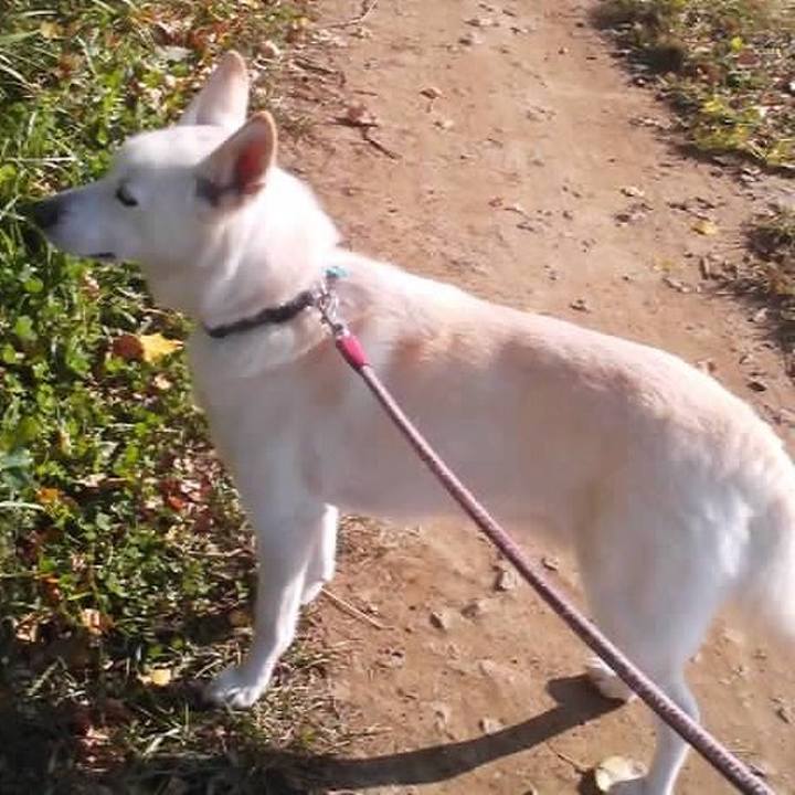 B2ca4bb6 a1ce 48c3 b964 02ee61da1837