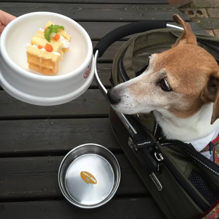 B2cb2d8b ec12 4734 8c54 56b7d39f65a2