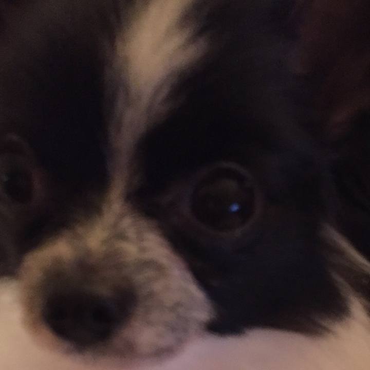 B2cb55d2 14c4 425c b11c 7a1e0df0ea07