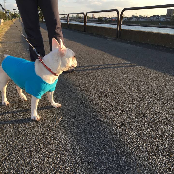 B2cc1193 6224 41a3 8f2e 8ae5bf9fa3a1