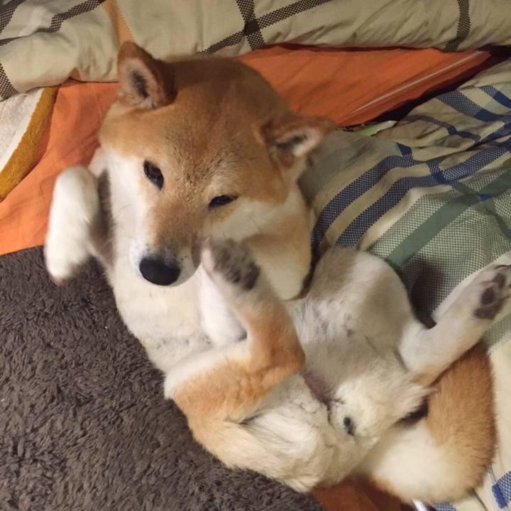 B2cc1351 ff02 472b 8d51 e8f0f455405a