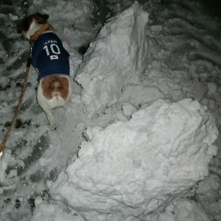 B2cc7d33 ce4e 4cd2 92fa 6d76959a2a83