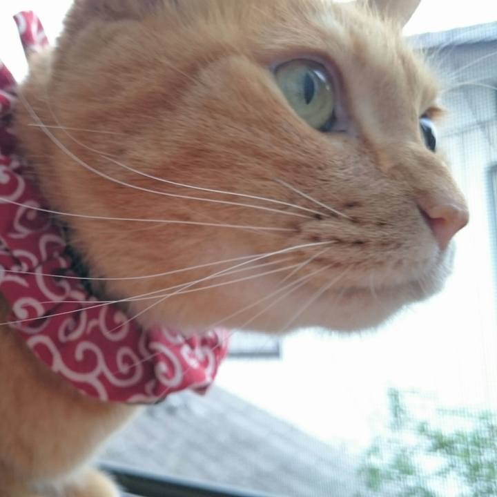 B2cd5a70 7eb3 4b5d a0f9 4c2476decfea