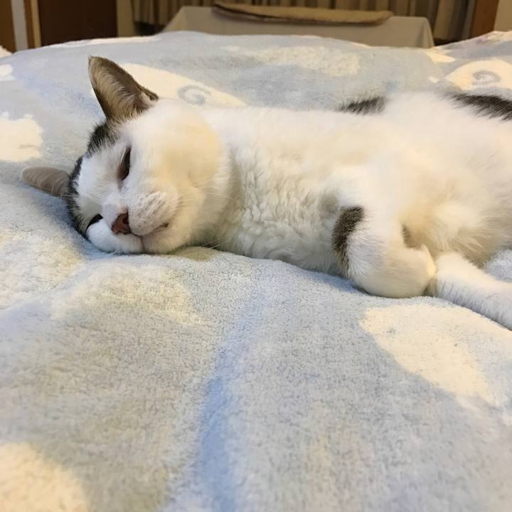 B2ce0dae 396d 4246 a113 b9d5be947344