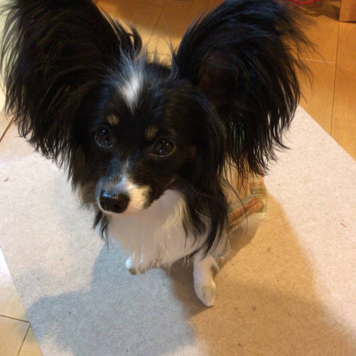 B2ce1d89 48c7 41db 97f1 4208915ba8bf