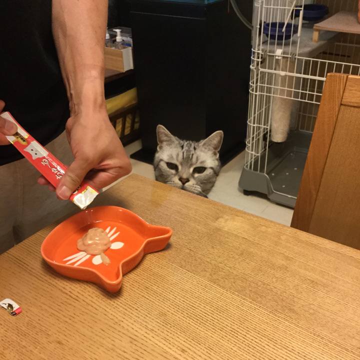 B2ce5997 7495 46de 96d3 e645e5e93e64