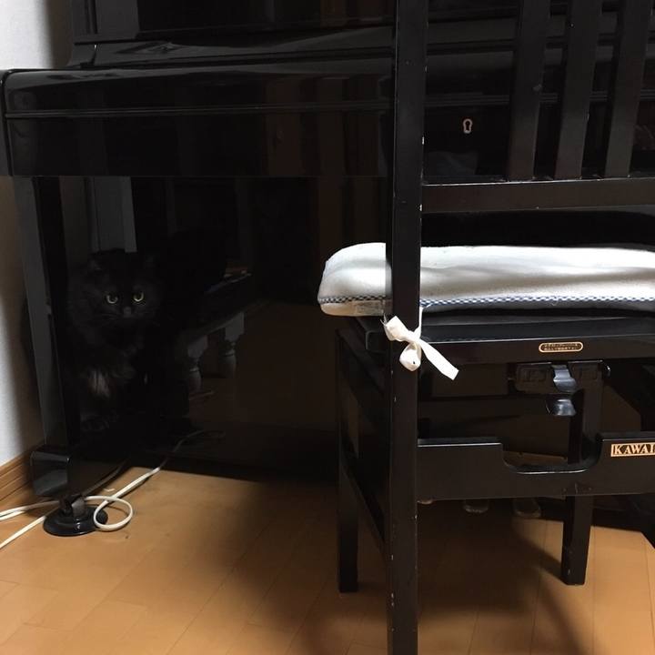 B2ce990f 5065 49f0 a89a cfcf54b644c4