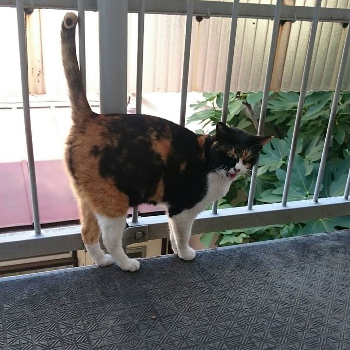 B2cefc1a 69d5 4090 aa2c 4dc0c79803a6