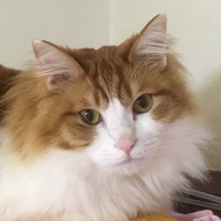 B2cf855d 8409 4ff8 8f60 c1cbd658309b