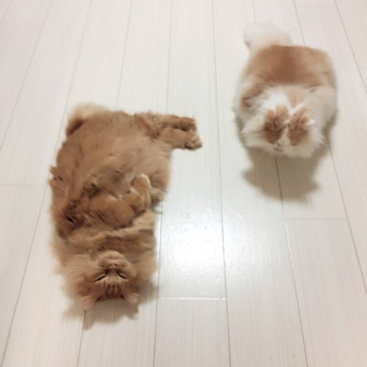 B2d063be 4a1f 4da1 b1be 167e7d4ae253