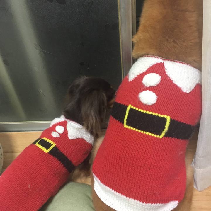 B2d06b23 19f7 4373 ae96 da51a7eac10f