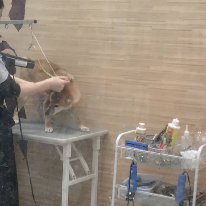 B2d2ad7f aa55 4b5a bd99 7bbd77cdf701