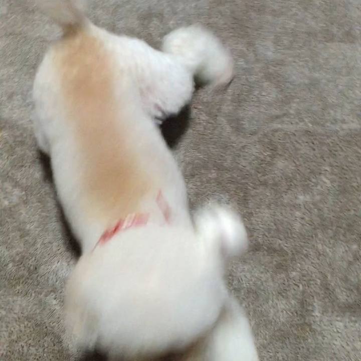 B2d2ede6 7094 4482 a831 e17d10b7d5d0