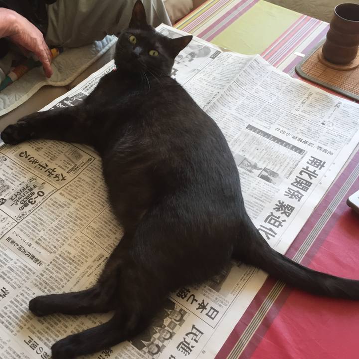 B2d3e3bc 0ab0 466b a906 9a26bd0dcde6