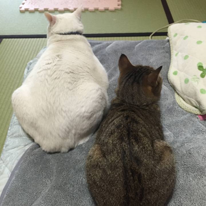 B2d42a80 e95b 4ddc 88aa 98980ed9c370