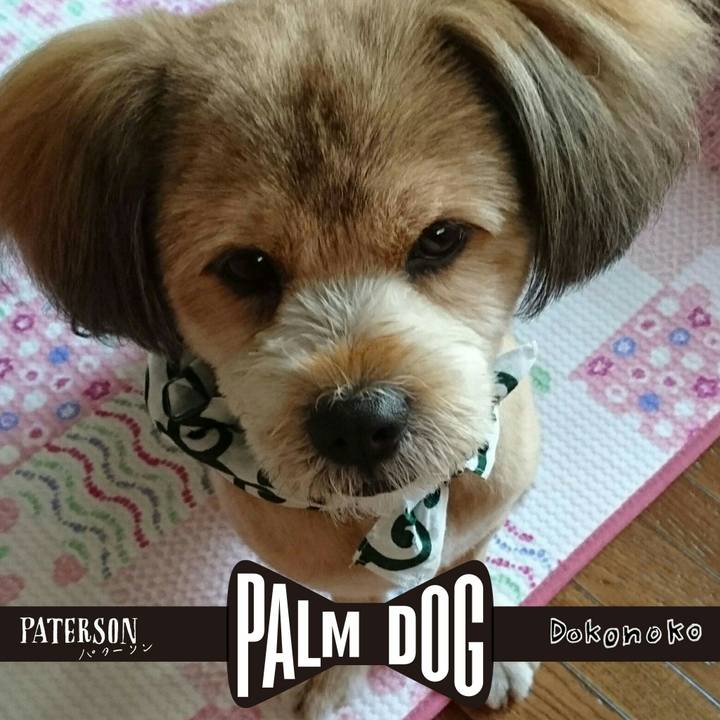 B2d4d11b b37c 4201 b5e3 ed888c68bfe7