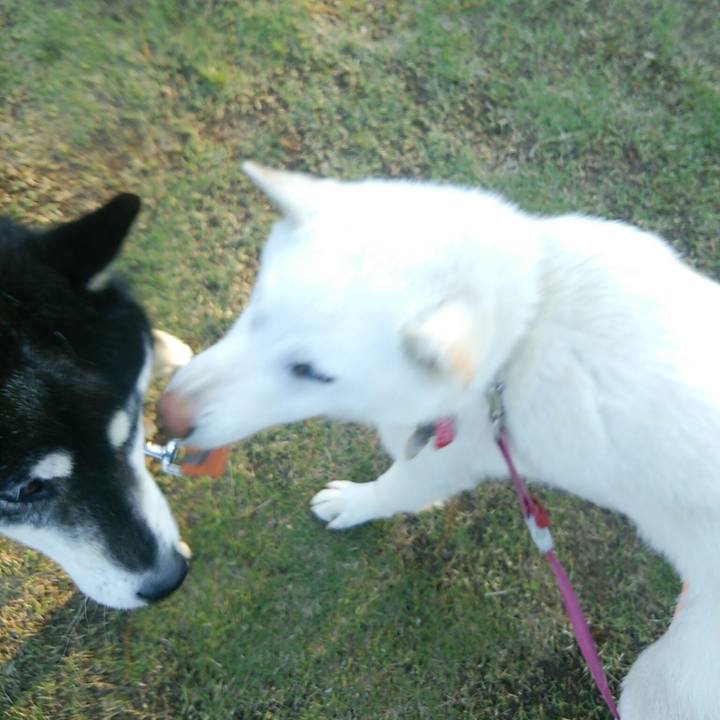 B2d4d467 e541 4ebd a85a 54fa3e73c178