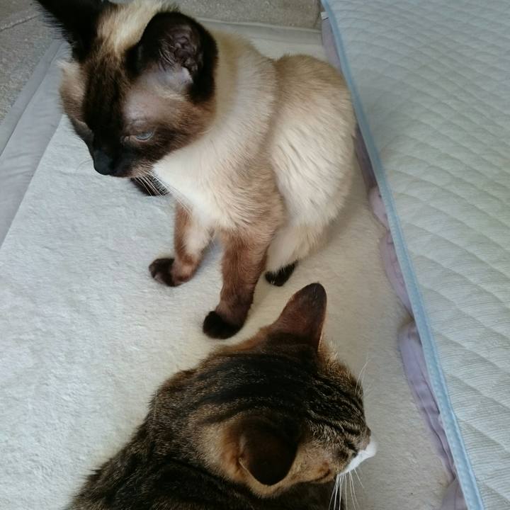 B2d54d91 f7c6 40b1 9ca9 b28964c2f1dc