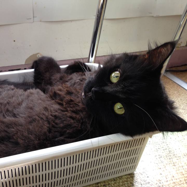 B2d57ba4 382c 4df6 9b87 1c6c0da4760c