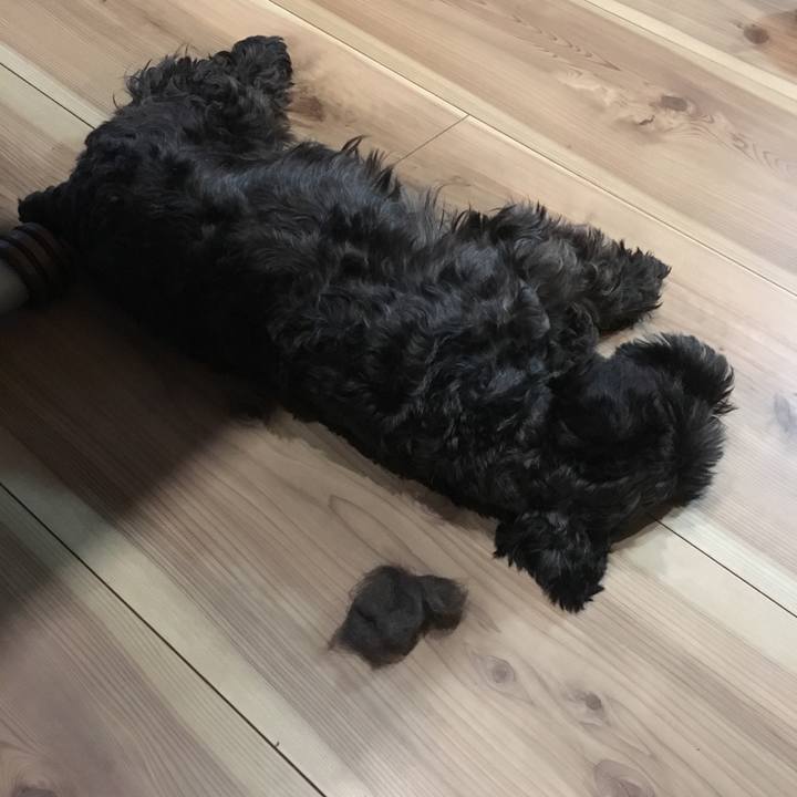 B2d5ac93 1db1 4920 9b92 fd4343c8ebcf