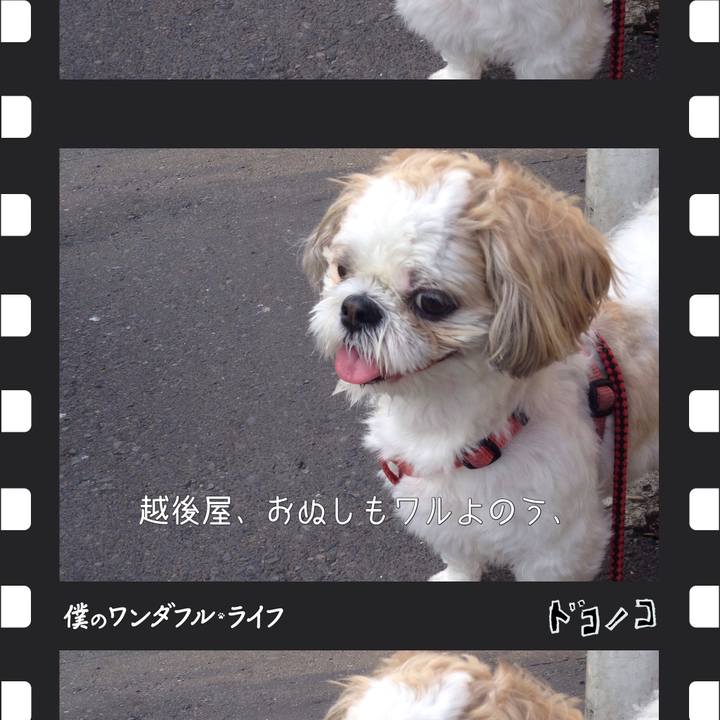 B2d5ebef 02d1 4c97 a66d d8f130d469a4