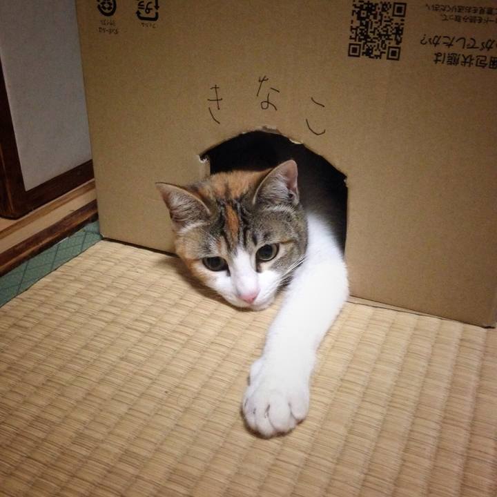 B2d62ca3 c9e9 45ac aa11 0680fbb827ab