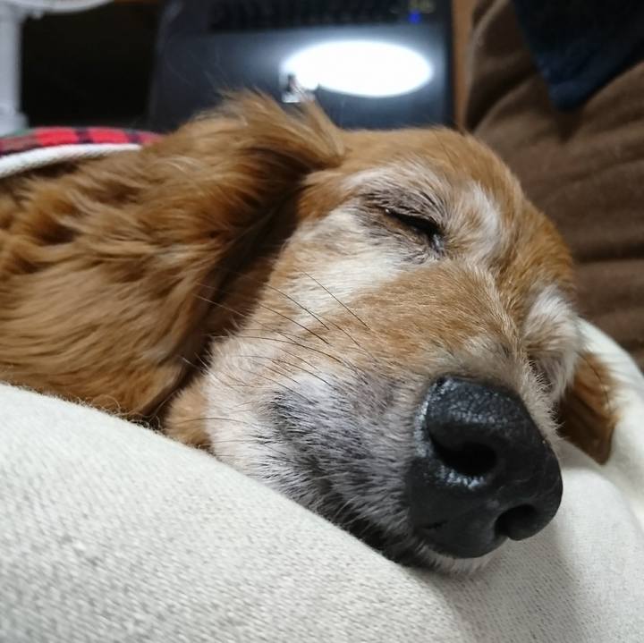 B2d6900e e3cc 4282 b1e2 0f05fd0011cf