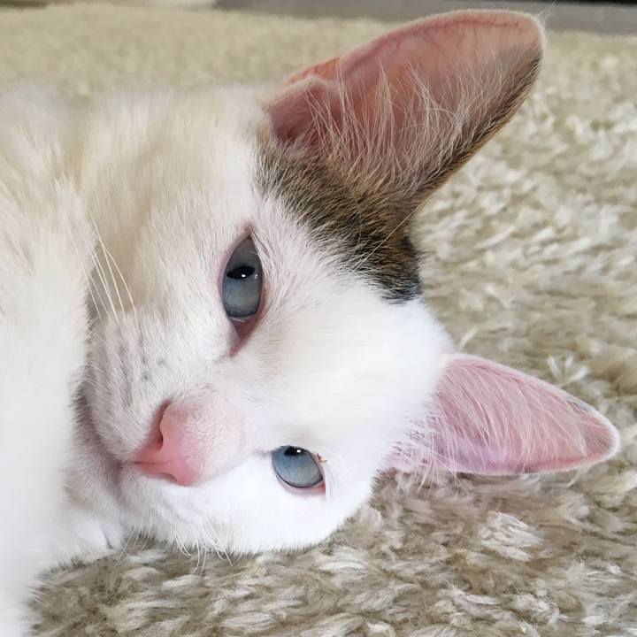 B2d6b8da d278 4072 95a0 3319ab84b4ed