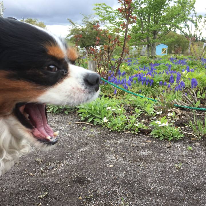 B2d7ea6a be0e 43c2 a0a1 473cea9be840