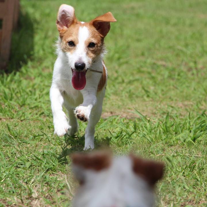 B2d80279 8761 4a59 9e60 7a53098d75b3