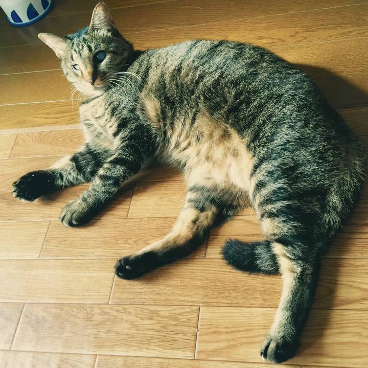 B2d84884 4197 4d67 b671 698d78363b3a